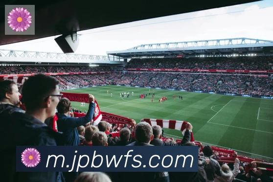 开云kaiyun网页版荣誉