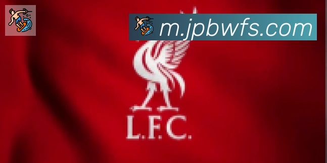 开云kaiyun网页版合作伙伴